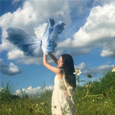 魔盒：隐喻封面